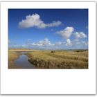 ......picknick auf dem slufter / texel.......