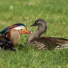 Picknick auf der Badewiese