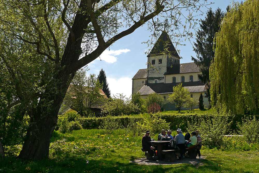 Picknick auf der Reichenau , Reichenau im April