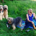 Picknick auf der Schmücke 