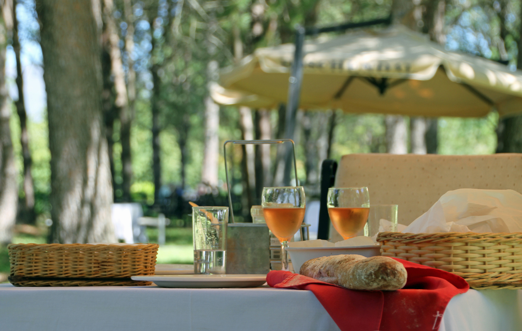 Picknick @Boschendal