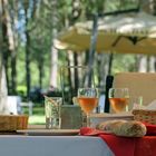 Picknick @Boschendal