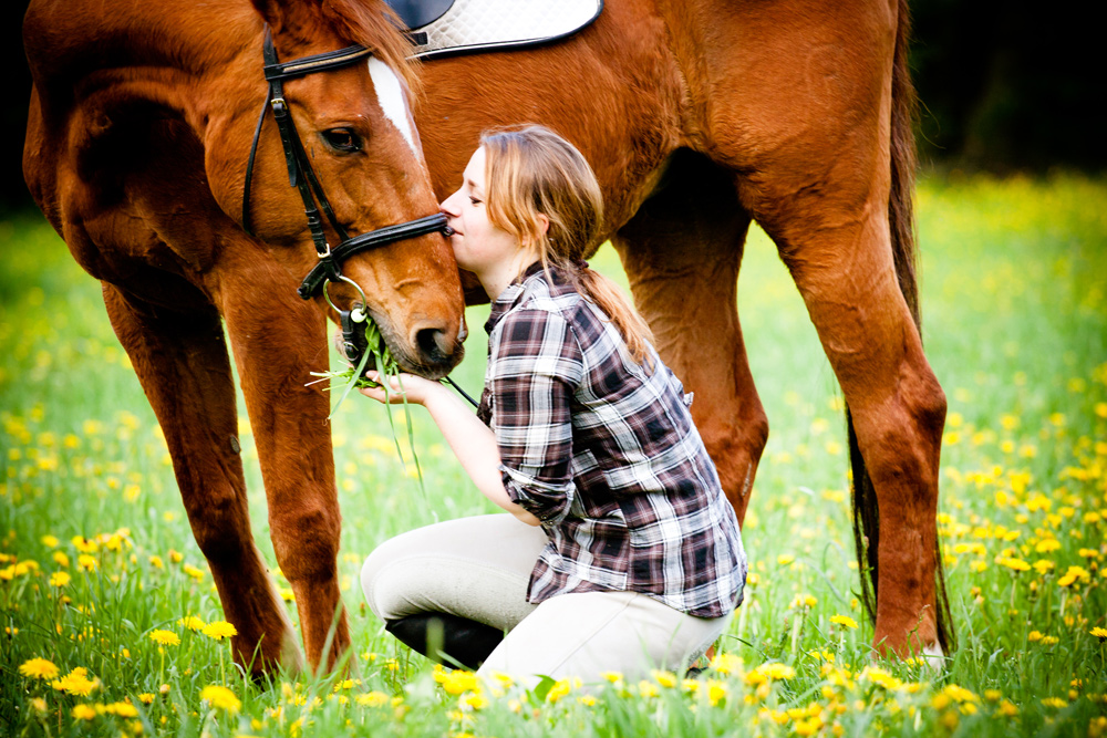 Picknick für das Horse :-)