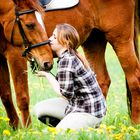 Picknick für das Horse :-)