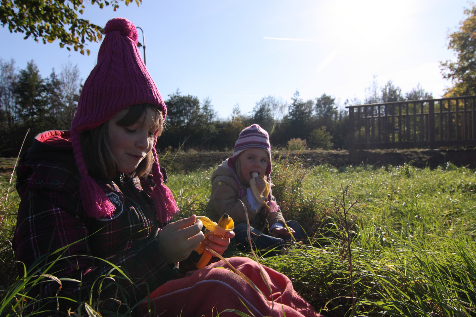 Picknick im grünen