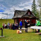 Picknick im Grünen