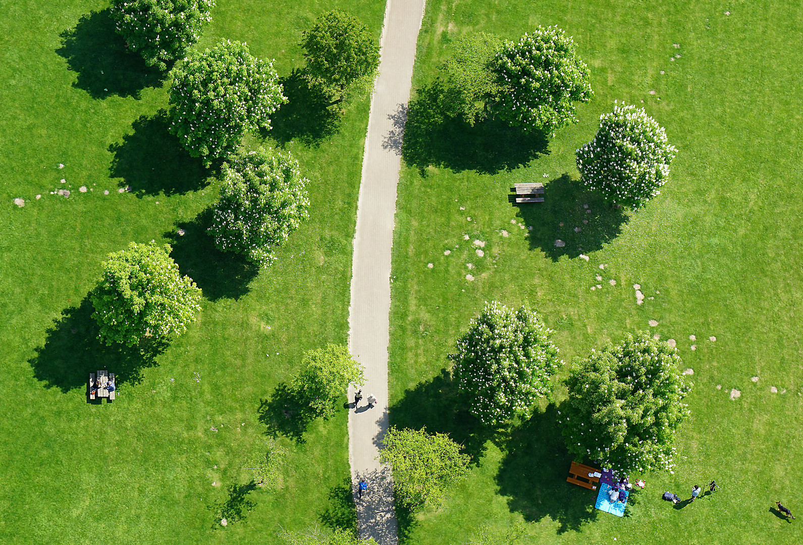 Picknick im Grünen