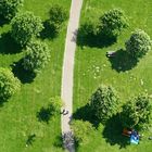 Picknick im Grünen