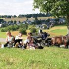 Picknick im Grünen