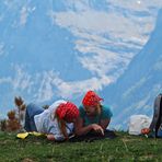 Picknick im Grünen