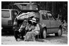 Picknick im Grünen