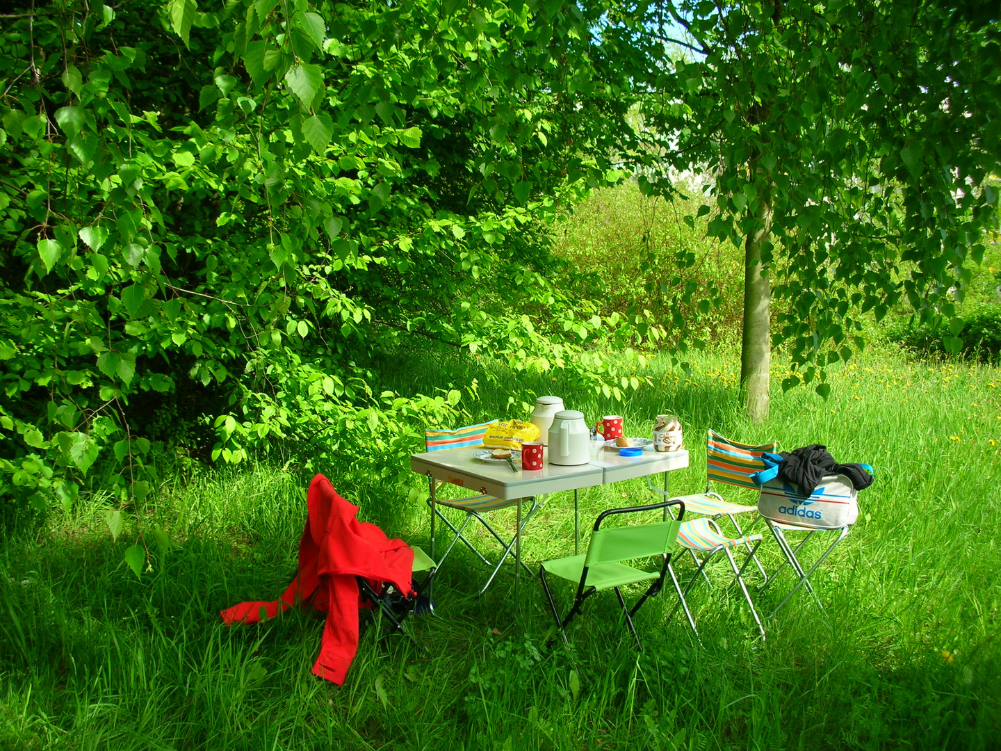 Picknick im Grünen romantisch