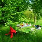 Picknick im Grünen romantisch