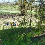 Picknick im Naturschutzgebiet