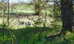 Picknick im Naturschutzgebiet