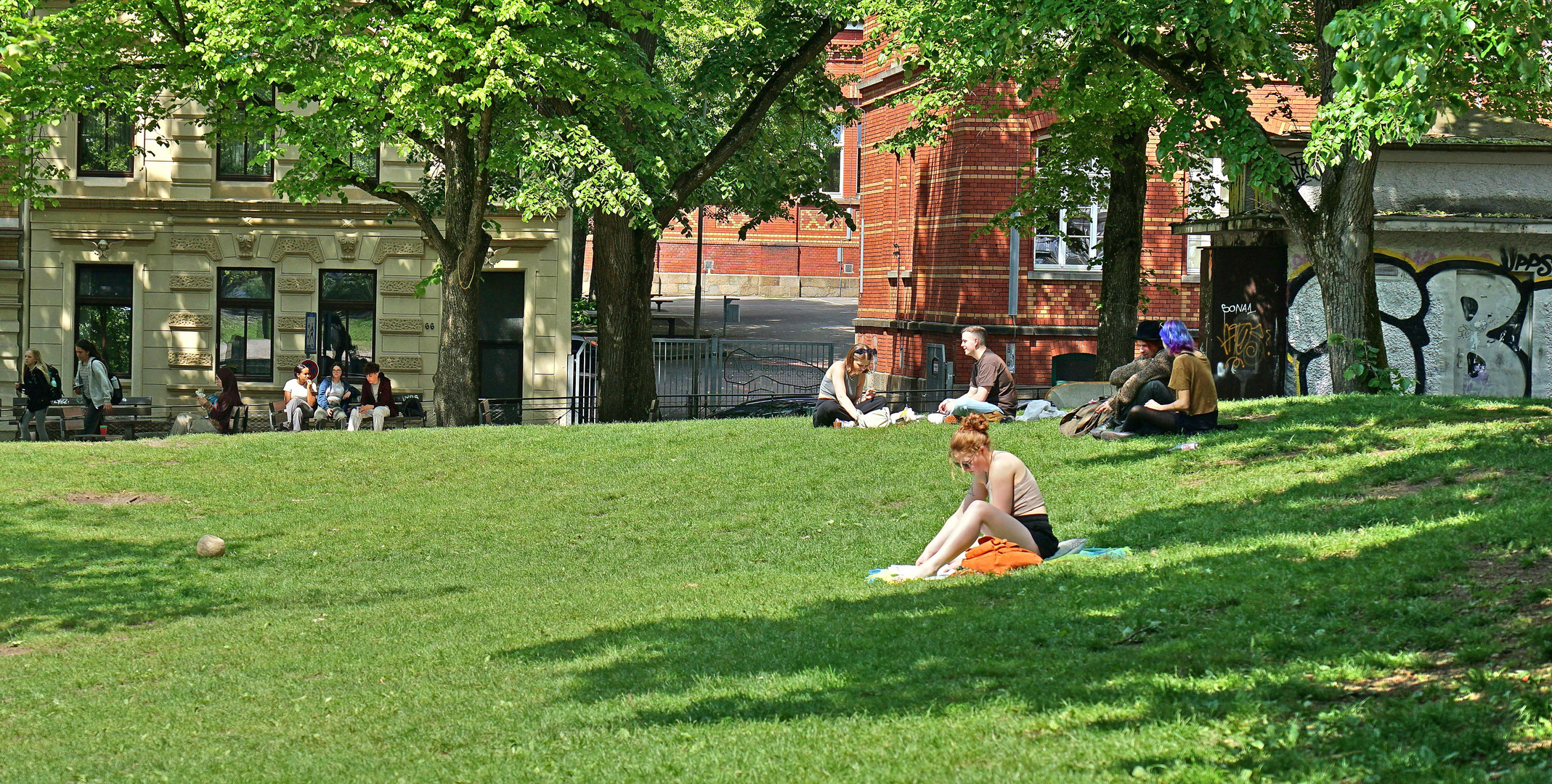 Picknick im Park