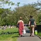 Picknick im Park