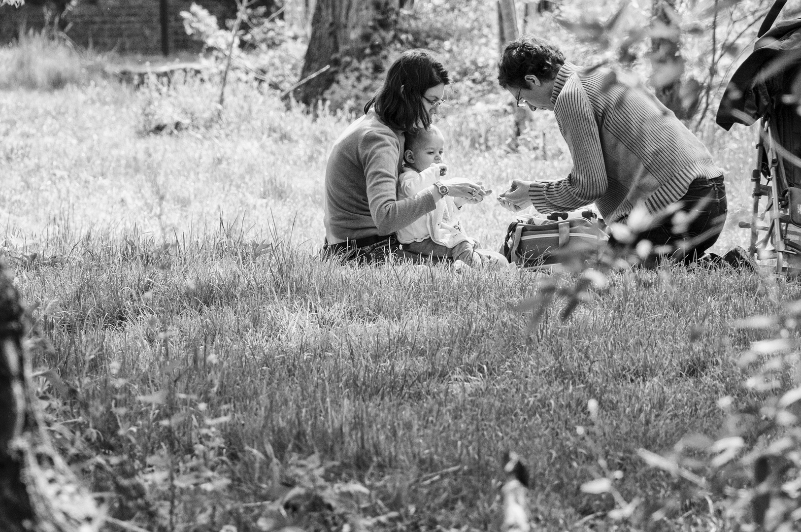 Picknick im Park