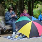 Picknick im Park