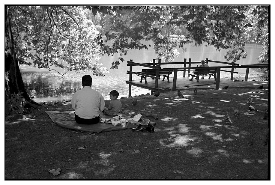 Picknick im Rombergpark