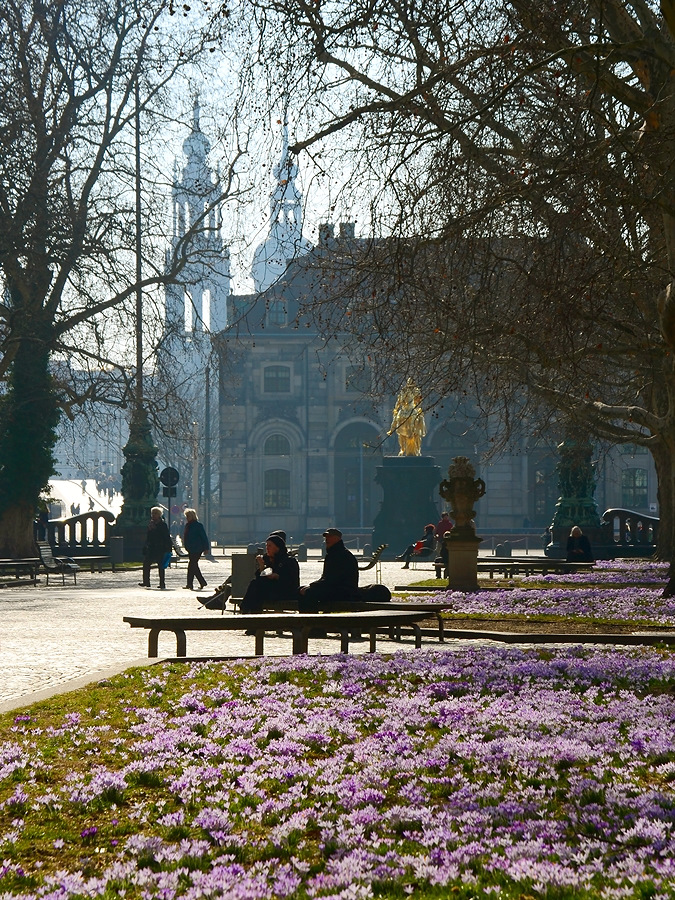 Picknick im Vorfrühling