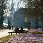 Picknick im Vorfrühling