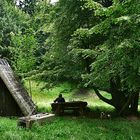 Picknick im Wald