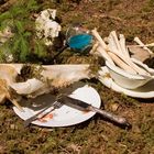 Picknick im Wald - romantischer Stoffkreislauf