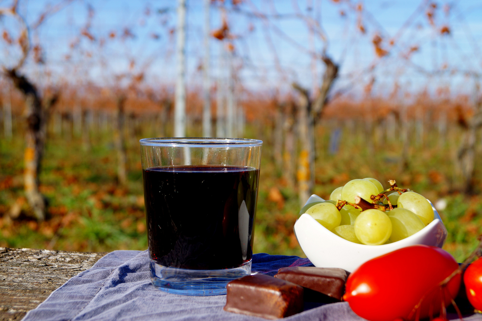 Picknick im Weinberg