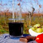 Picknick im Weinberg