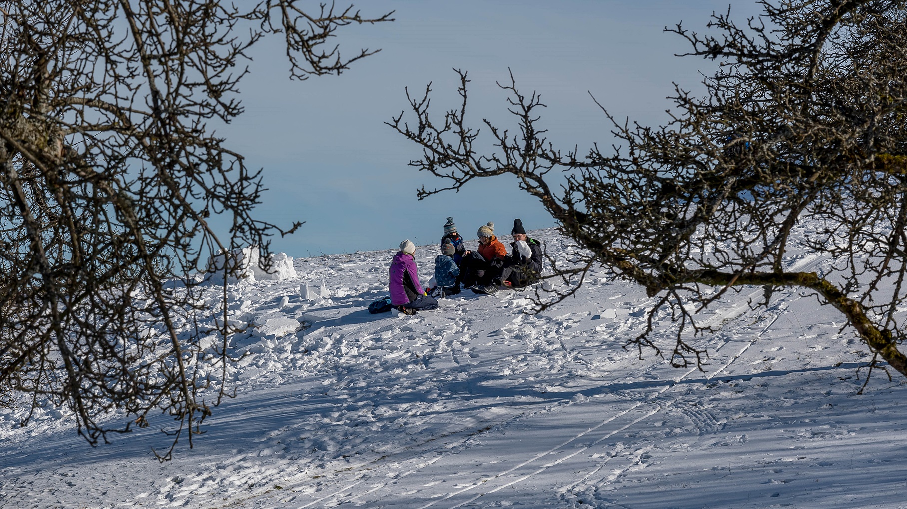 Picknick im Weiß