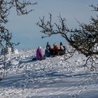 Picknick im Weiß