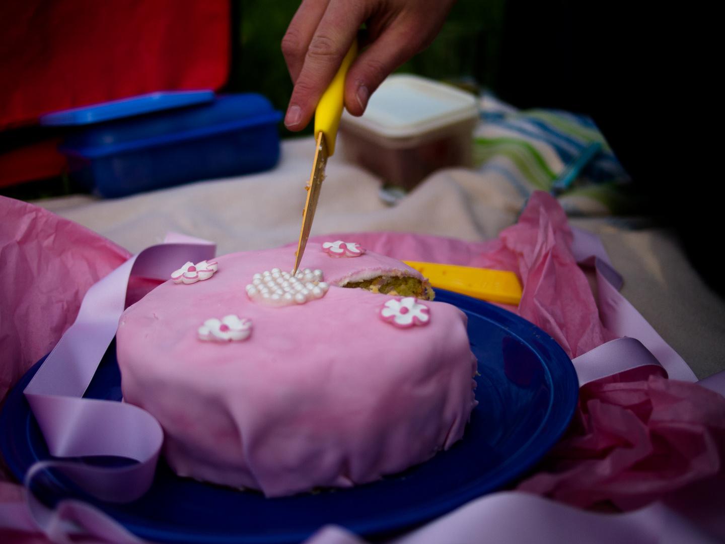 Picknick in Pink