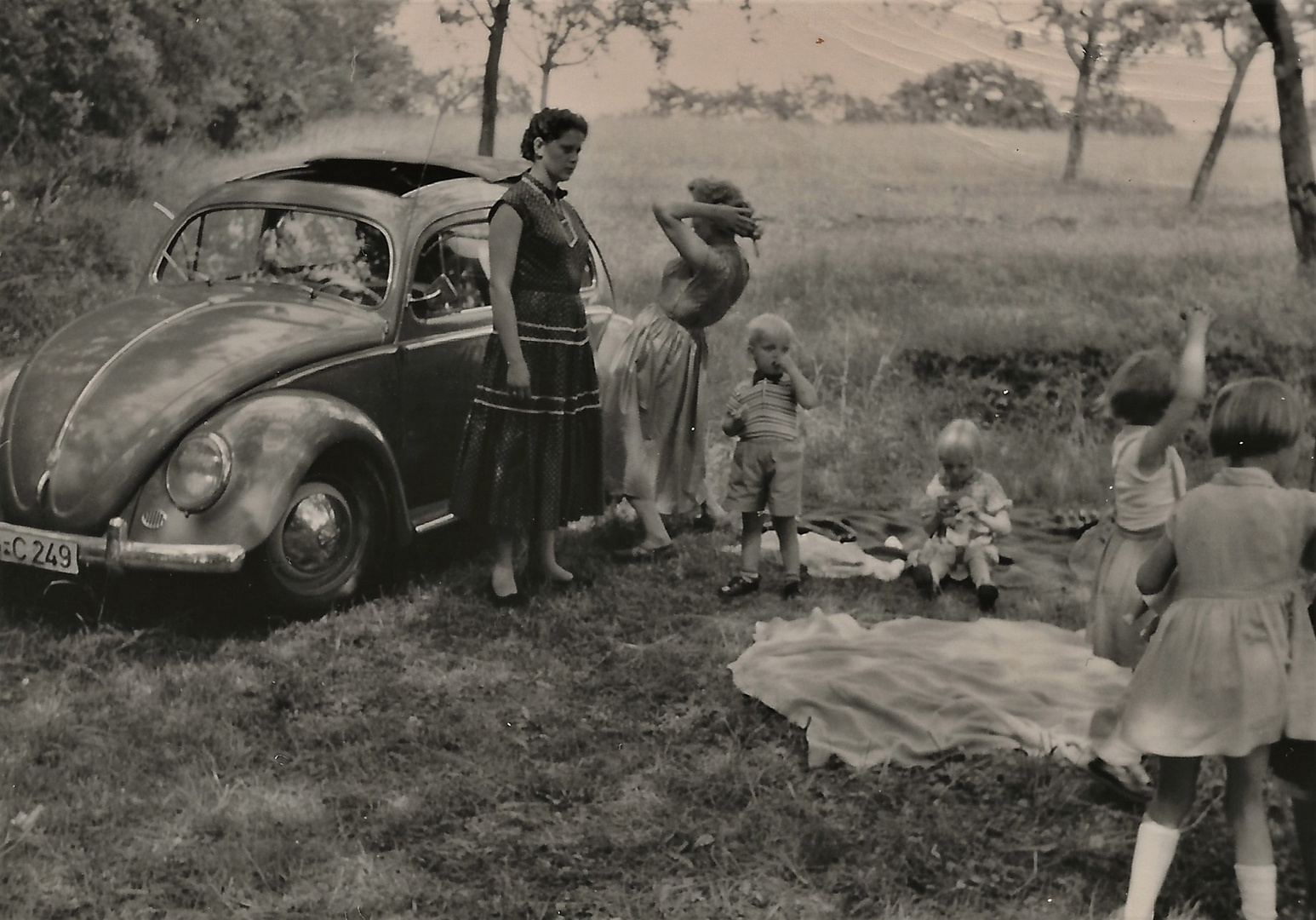 picknick mit käfer 1957
