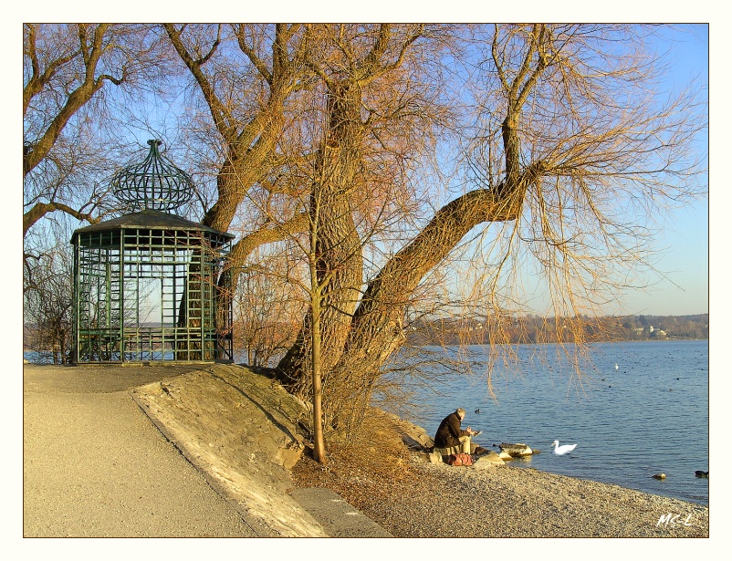 Picknick mit Schwan....