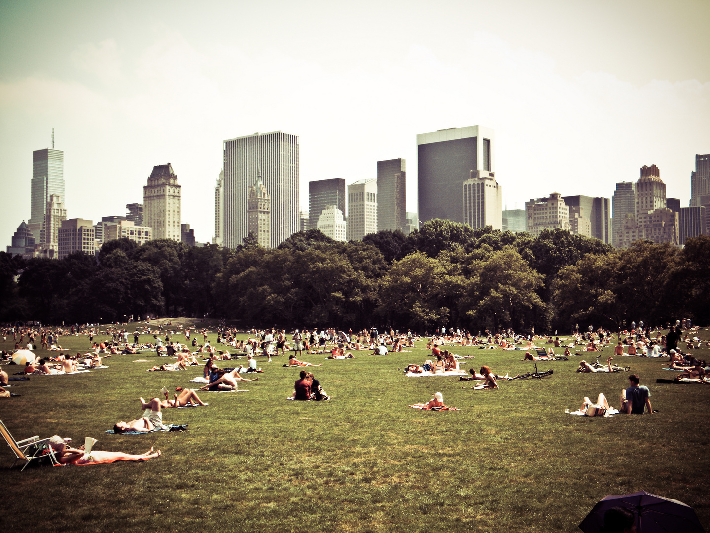 picknick nyc