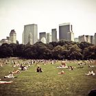 picknick nyc