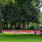 Picknick zu Coronazeiten