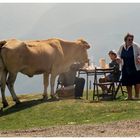 Picknick zu viert