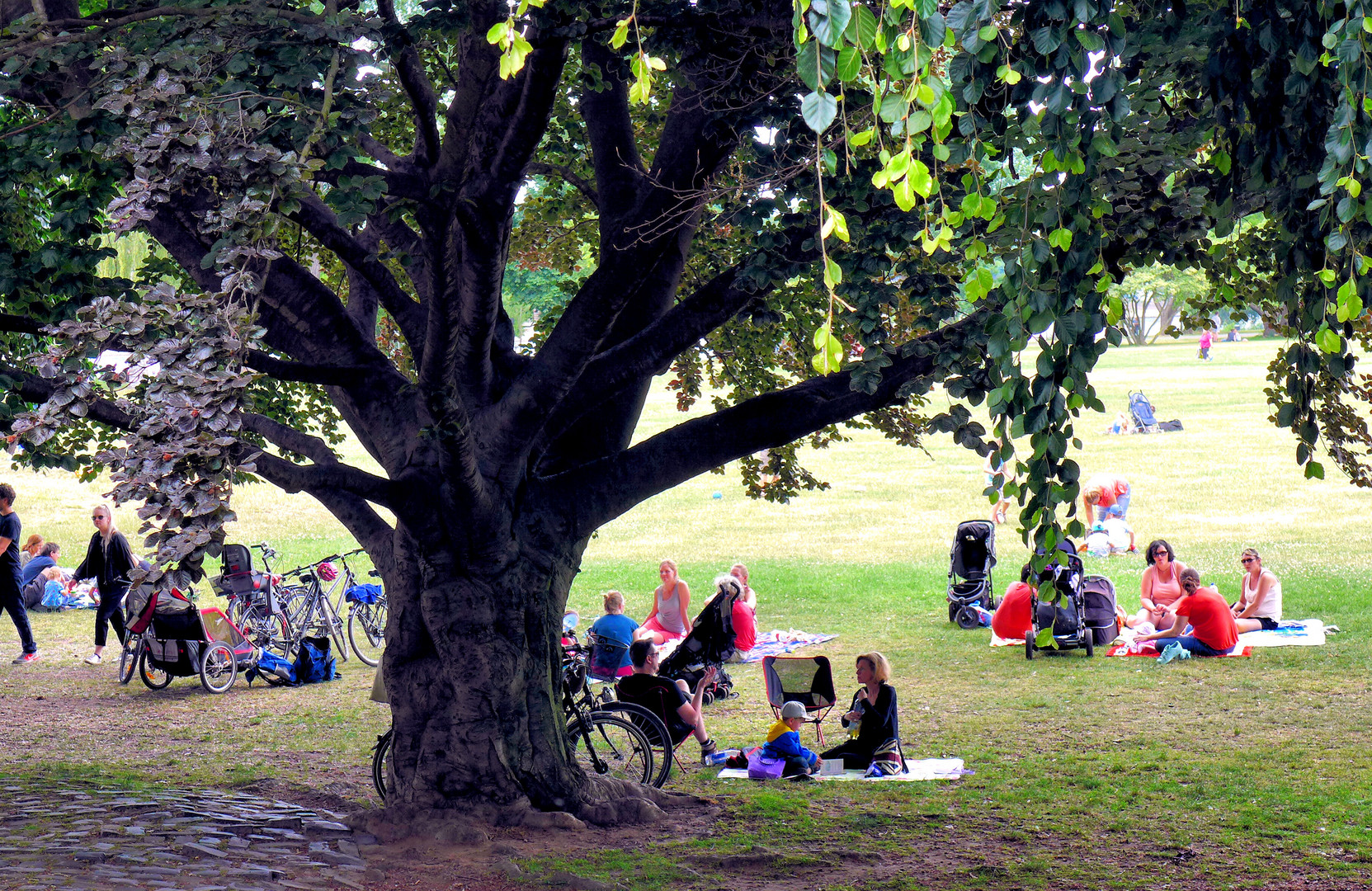 Picknicken im Kölner Rheinpark