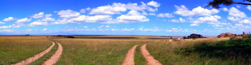 Picknickplatz in der Serengeti