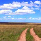 Picknickplatz in der Serengeti