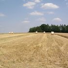 Picknickrollen unter sich