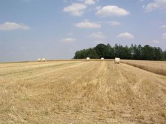 Picknickrollen unter sich