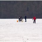 picknik auf dem see......