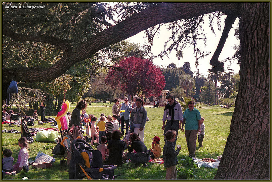 - Picnic -