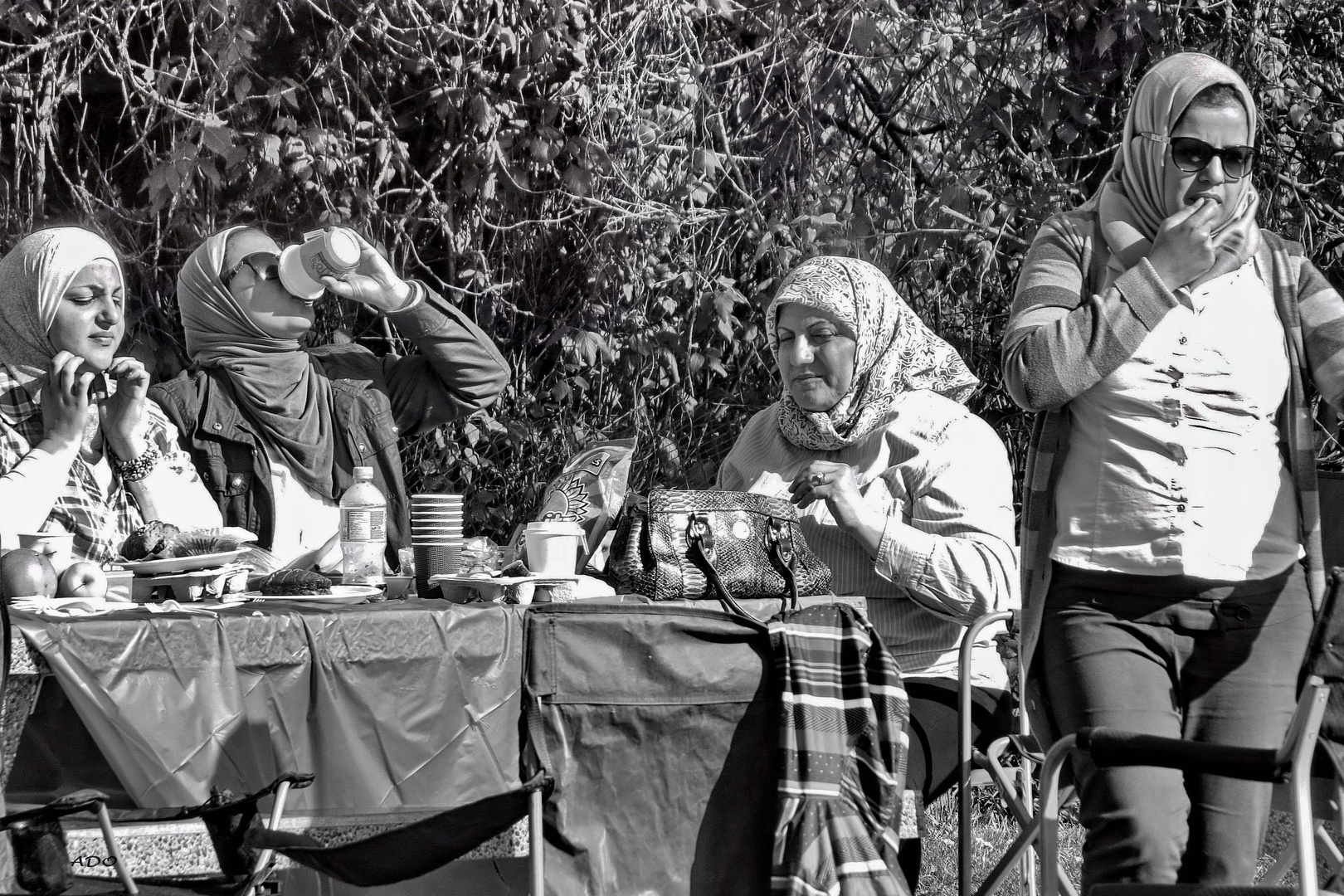 Picnic at the Park