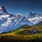 picnic at the top