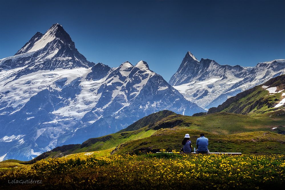 picnic at the top