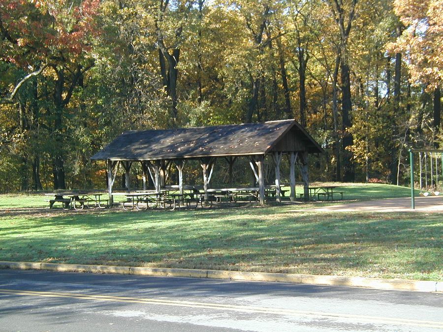 PICNIC CAMP @ ROCK CREEK PARK IN THE SUMMER